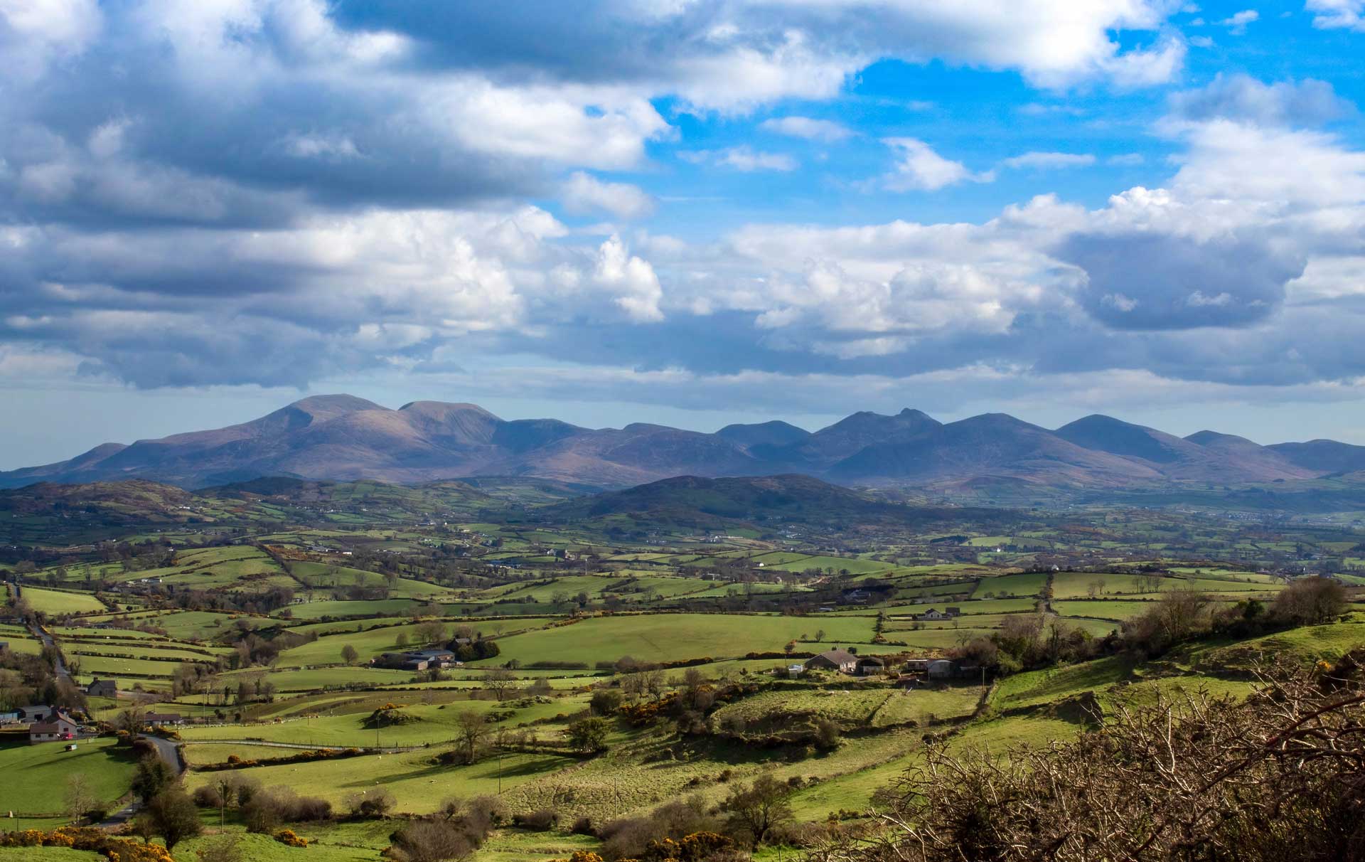 Ashton Graham Estate Agents property marketing across Northern Ireland