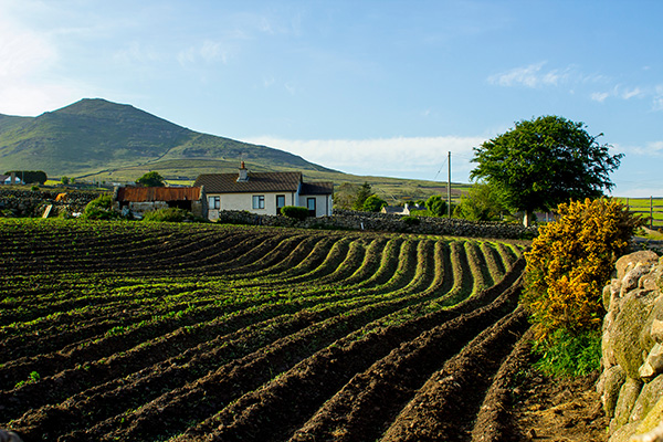 Land